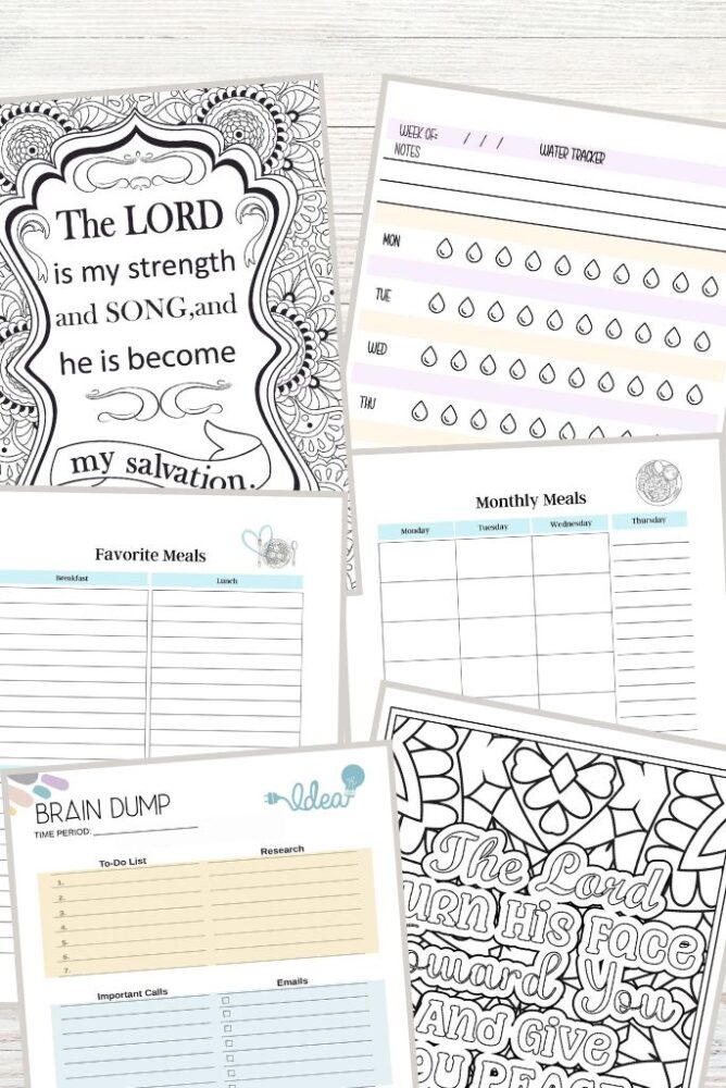 Free Homeschool Resources - Only Passionate Curiosity