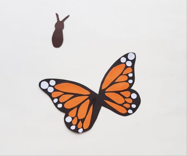 monarch butterfly craft - white spots added
