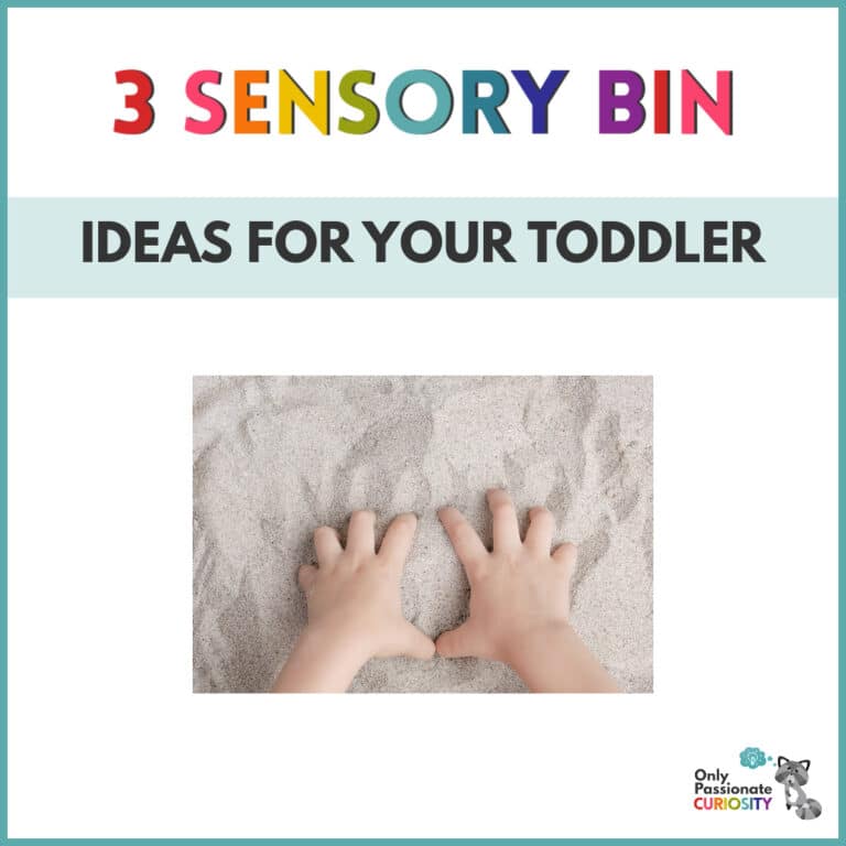 3 Simple Sensory Bin Ideas for Your Toddler (A Tot School Post)