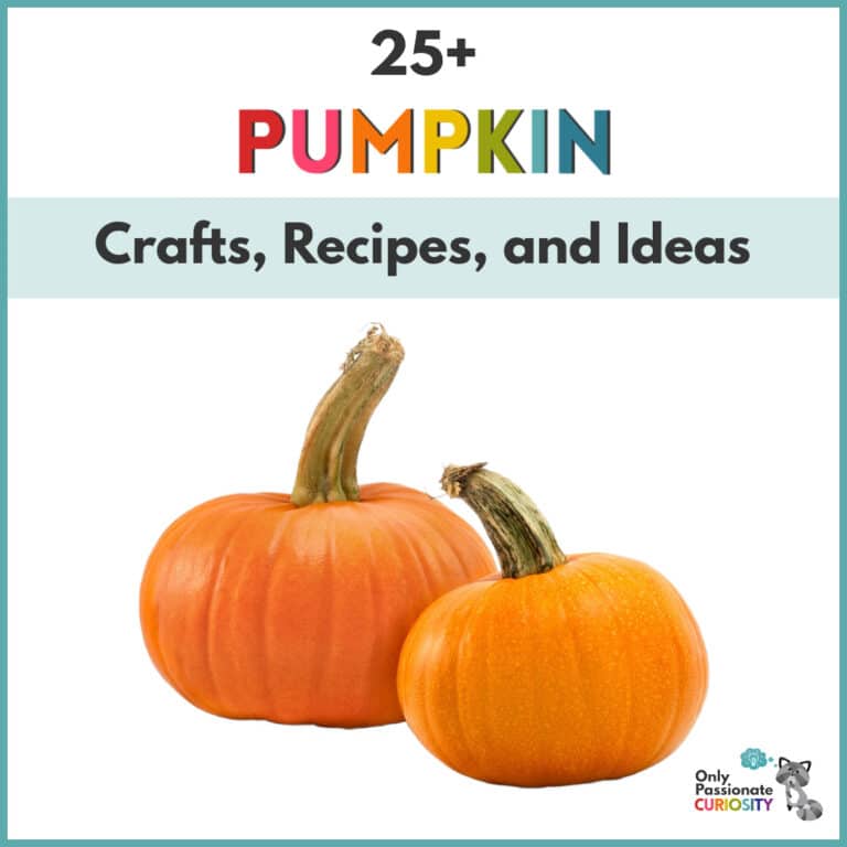 25+ Pumpkin Crafts, Recipes, and Ideas