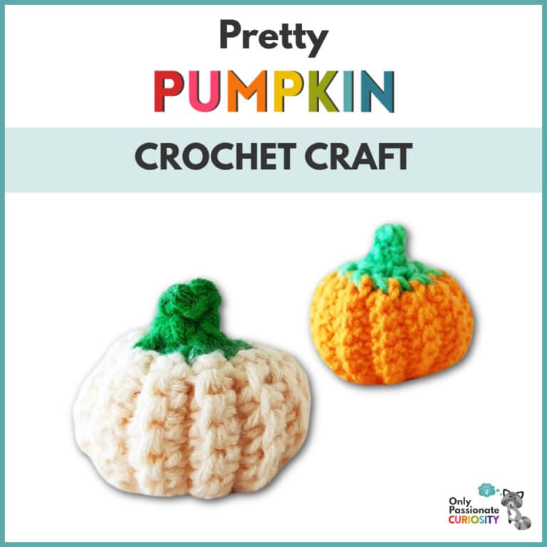 Pretty Pumpkin Crochet Craft