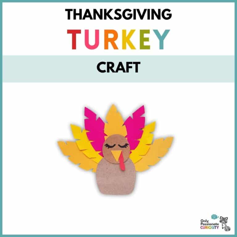 Colorful Thanksgiving Turkey Craft