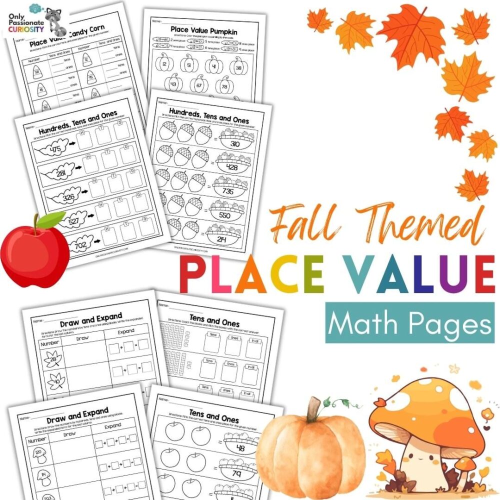 place value math pages