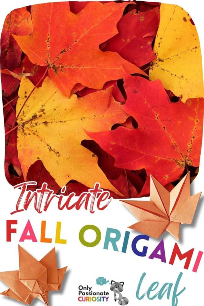 fall origami leaf