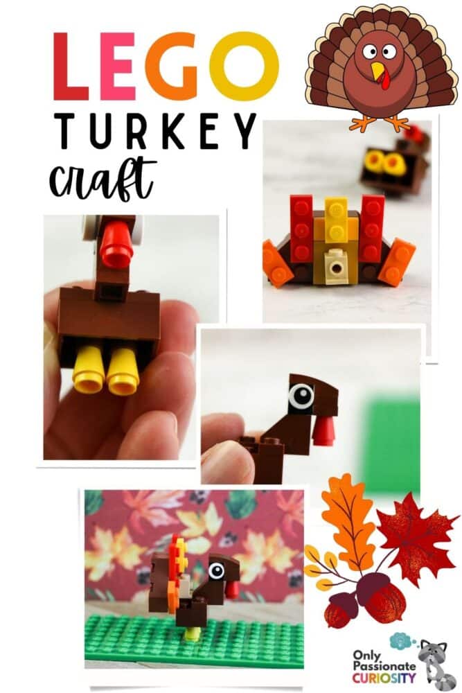 Lego Turkey