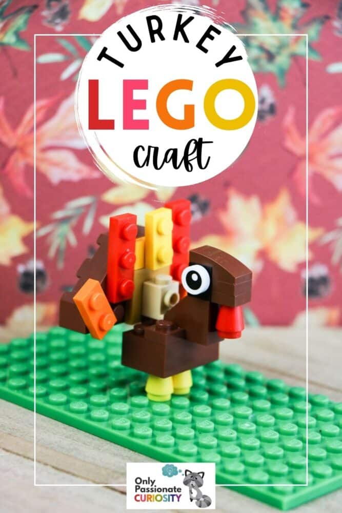 Lego Turkey