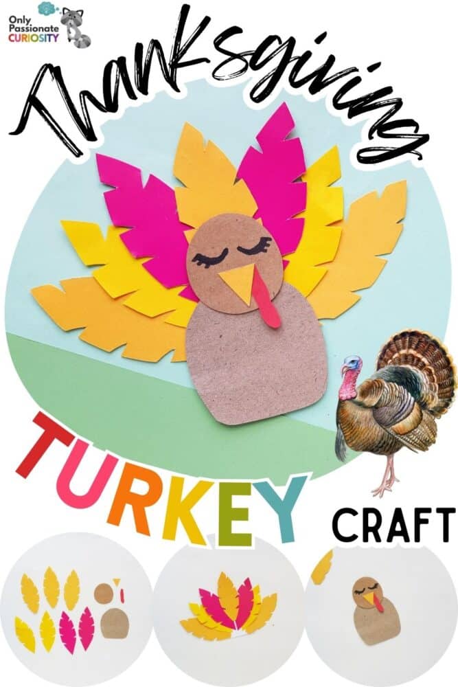 Turkey Craft