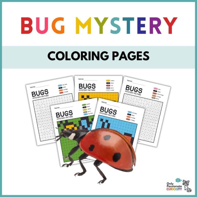 Bug Mystery Coloring Pages