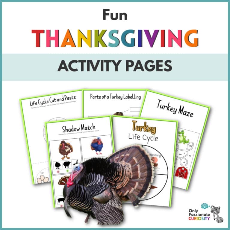 Fun Thanksgiving Activity Pages