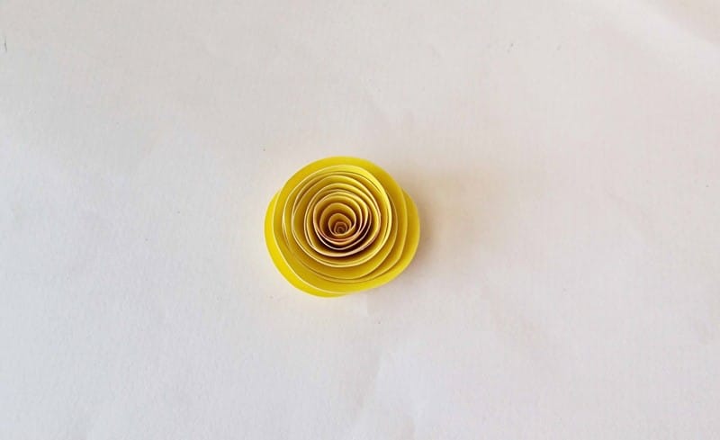 yellow paper coiled