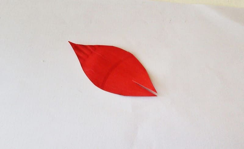 close up of one red leaf