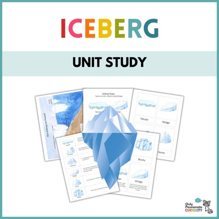 Iceberg Unit Study & 9 Fun Facts
