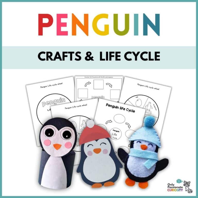 3 Simple Penguin Crafts & Life Cycle Study