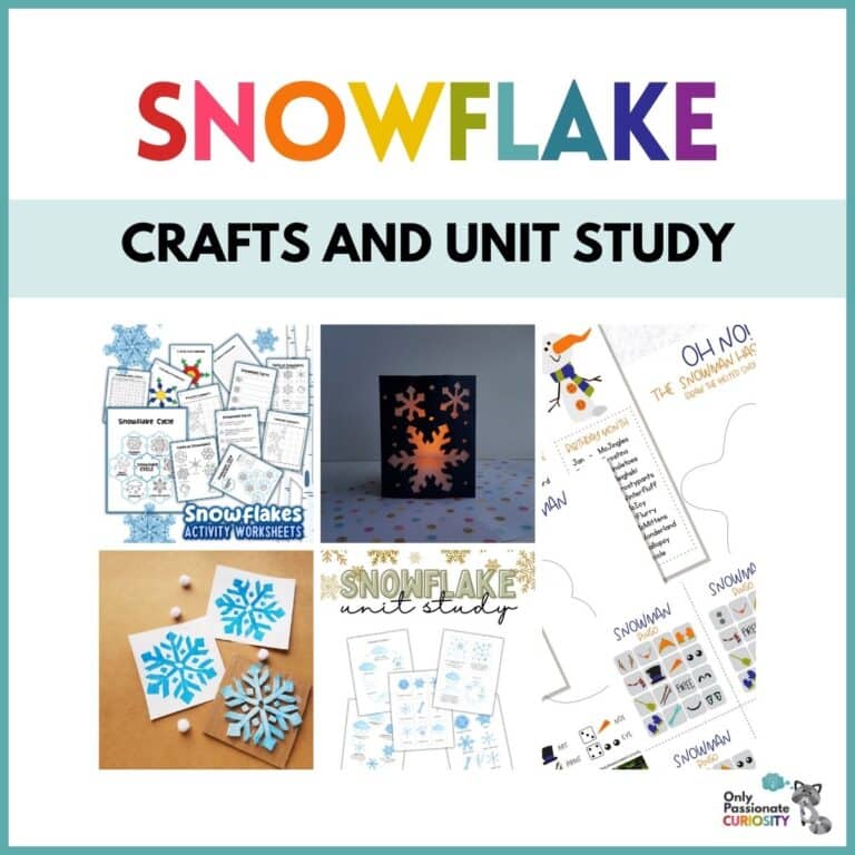 20+ Snowflake Crafts, Activities, and Unit Study Ideas