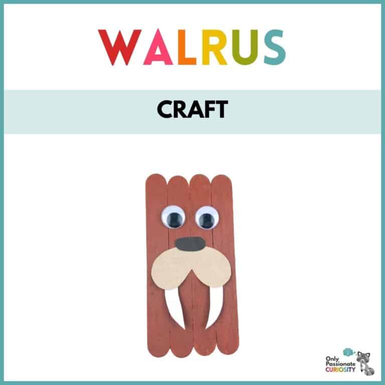 Popsicle Stick Walrus Craft