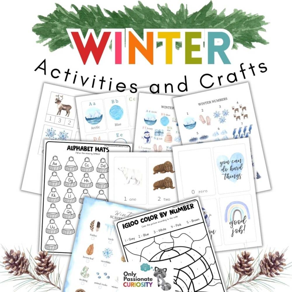 Winter Activities and Crafts