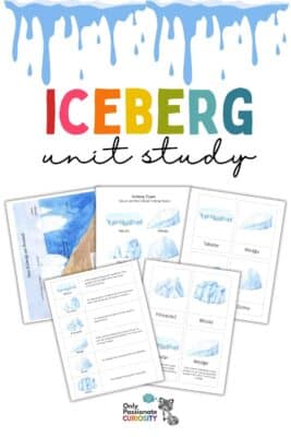 iceberg unit study