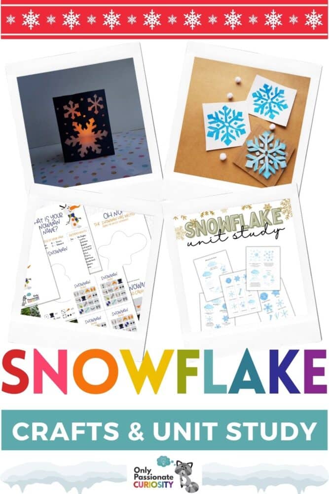 Snowflake Crafts and Unit Study