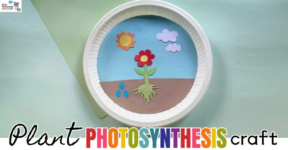Plant Photosynthesis Craft