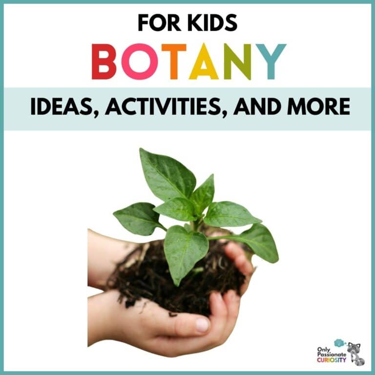 Botany for Kids – Ideas, Activities, and More