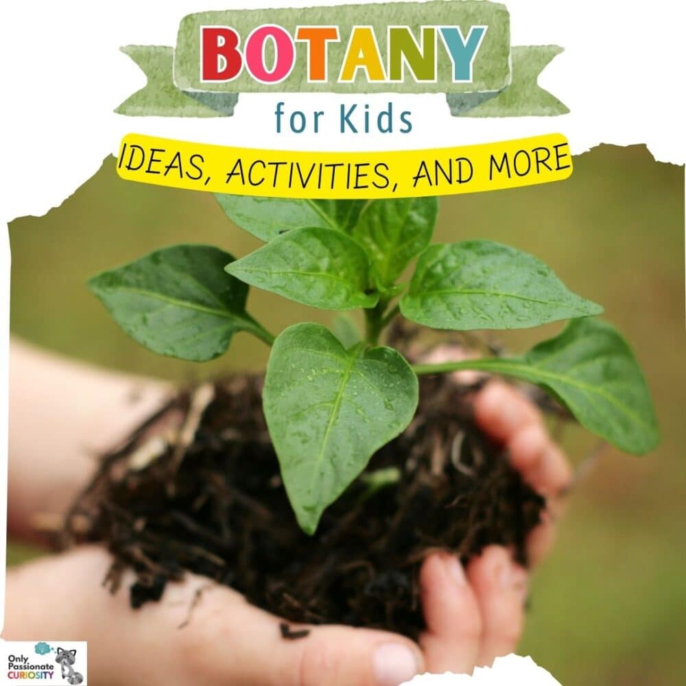 Botany for Kids