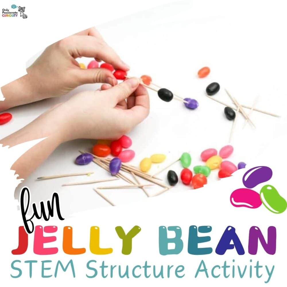 Jelly Bean Structure STEM activity