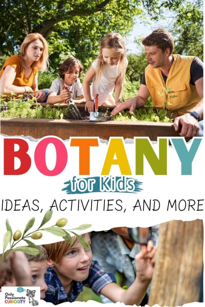 Botany for Kids - Ideas, Activities, and More