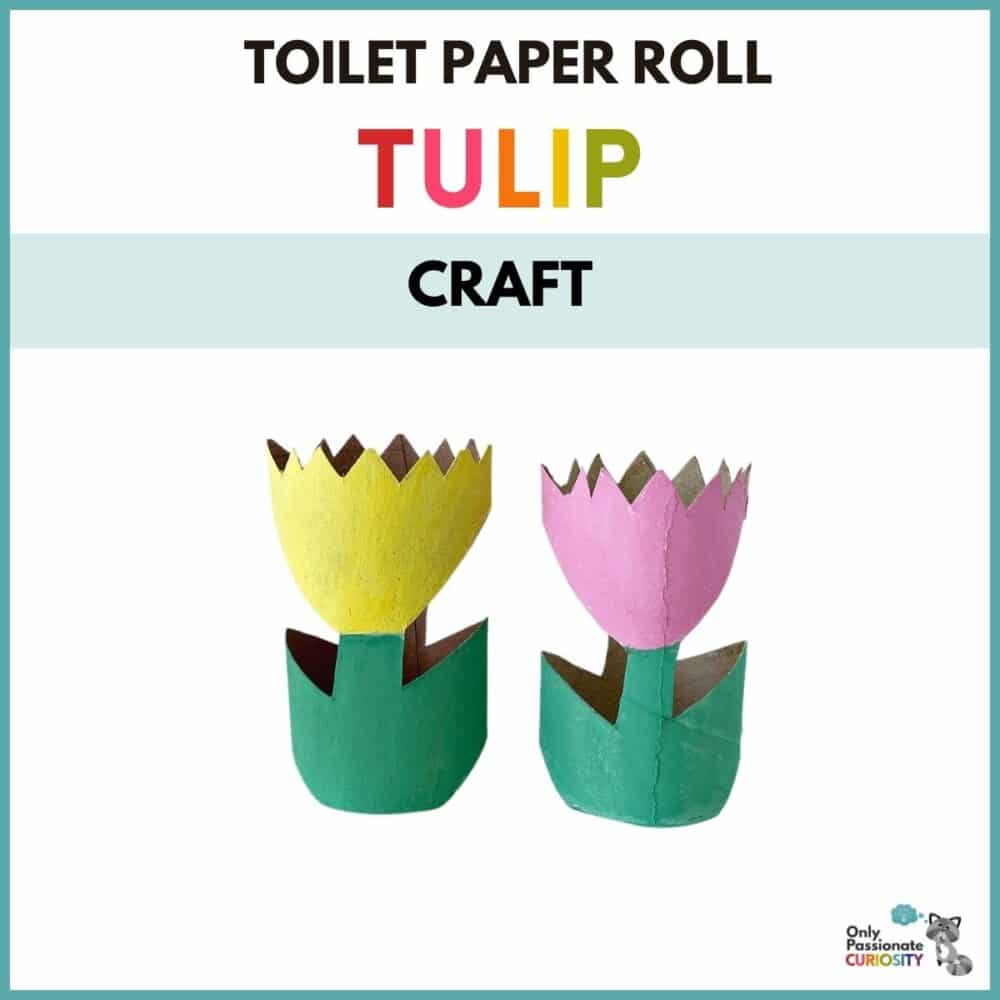 tulip craft