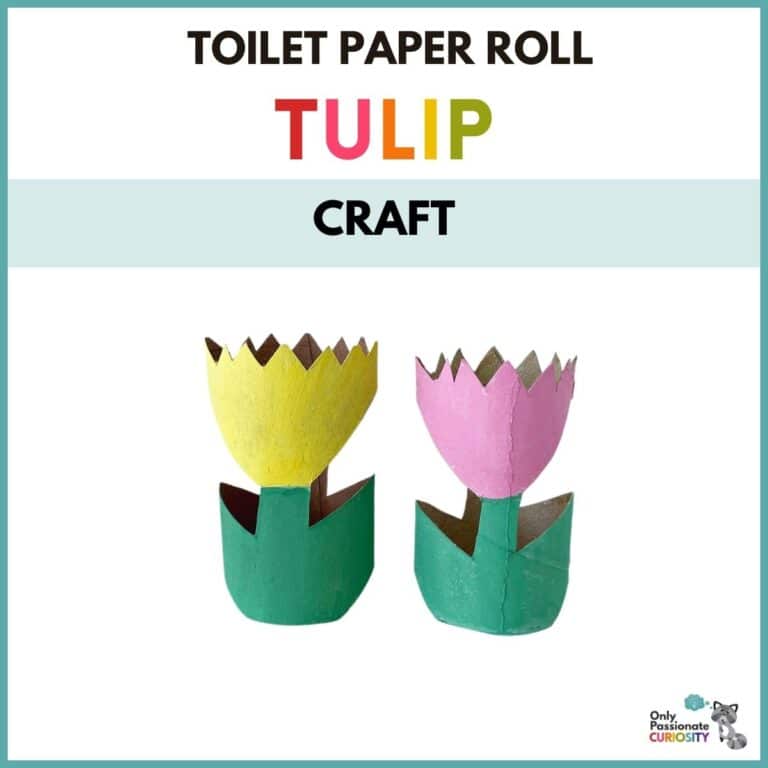 Toilet Paper Roll Tulip Craft