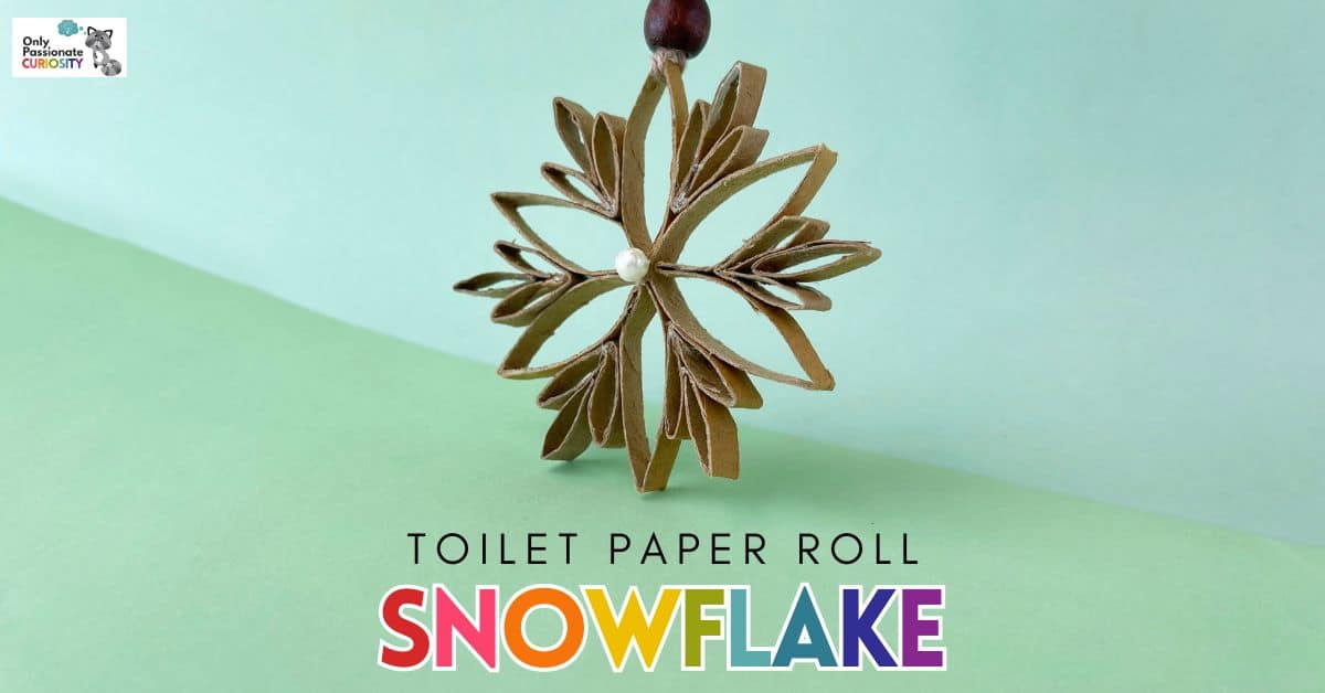 Toilet Paper Roll Snowflake Craft