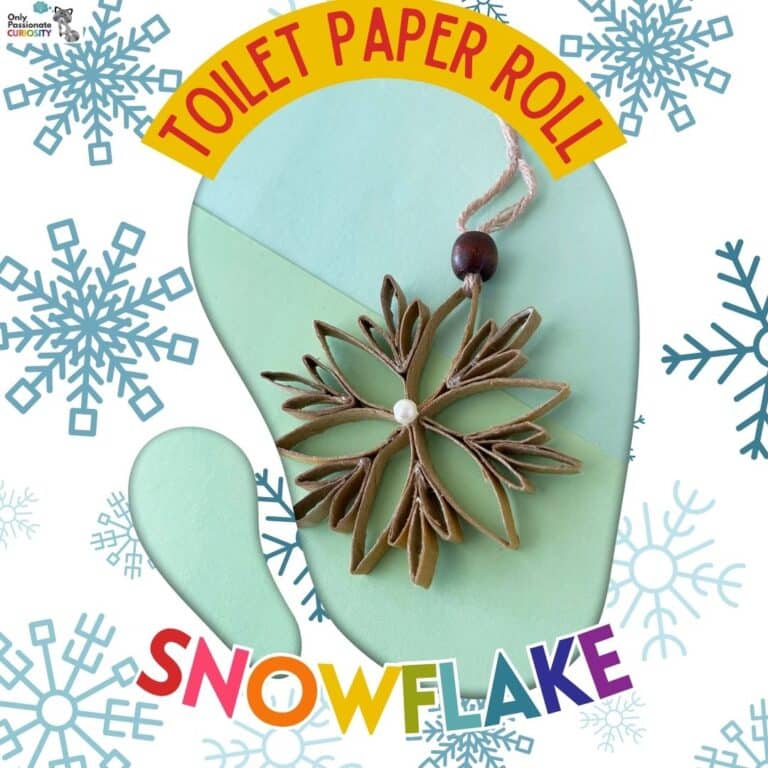 Toilet Paper Roll Snowflake Craft