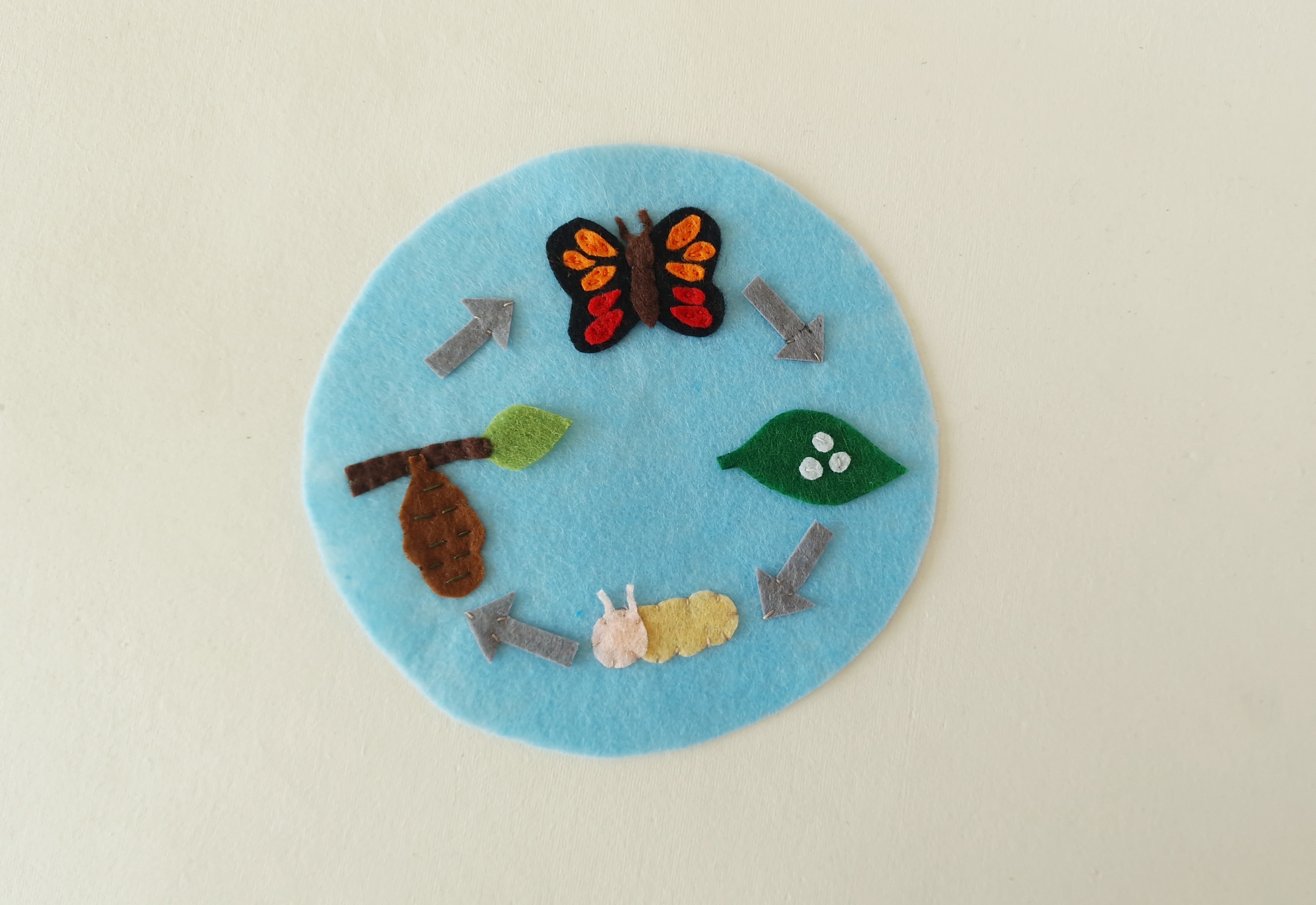 Felt Butterfly Life Cycle Craft